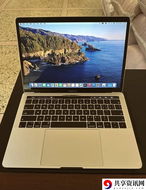 1819岁MACBOOK日本
