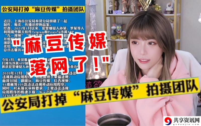探索麻花豆传媒剧国产mv的精彩世界
