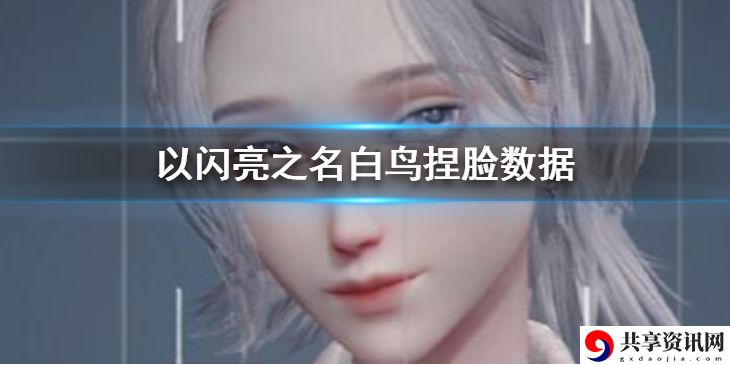 白鸟捏脸数据 高效刷金币全推荐