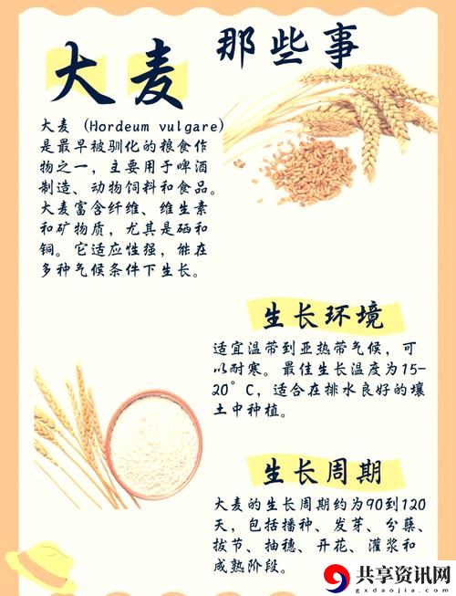 麦子互换背后的意义