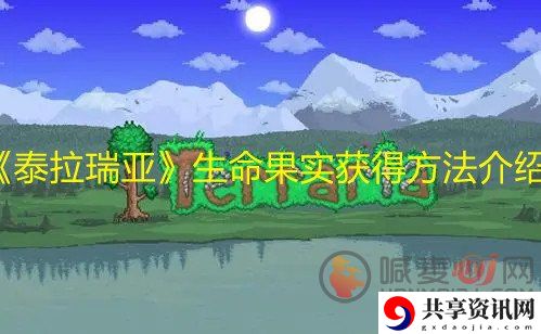 泰拉瑞亚生命果实如何获得 泰拉瑞亚生命果实获取方法
