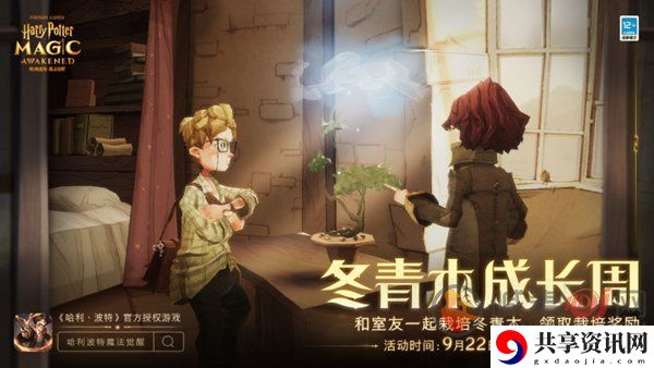 哈利波特魔法觉醒冬青木盆栽怎么养 冬青木盆栽养殖攻略