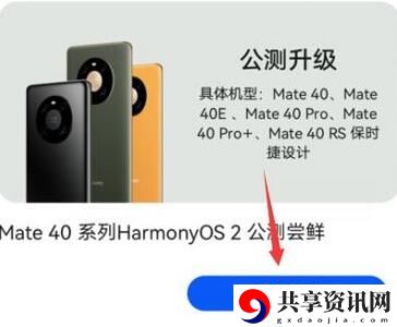 鸿蒙版app下载方法介绍