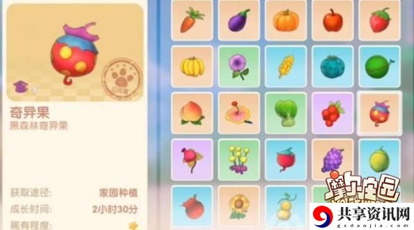 摩尔庄园手游奇异果获得方法介绍：装备属性解析与选择建议