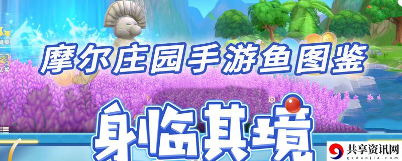 摩尔庄园手游鱼图鉴大全：角色技能进阶与实战应用