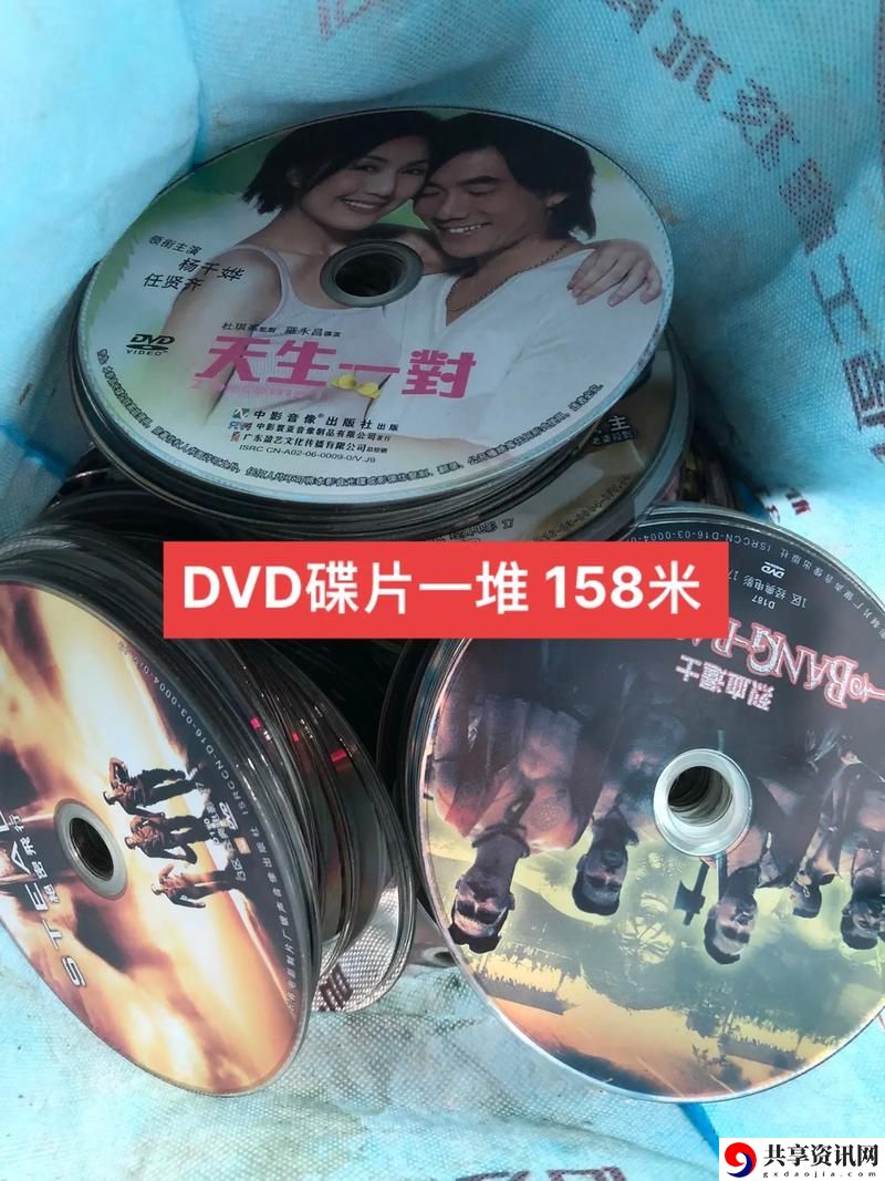 探索成人dvd专卖的多元魅力与市场潜力