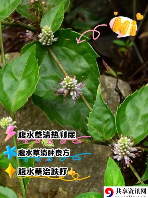 被c出水