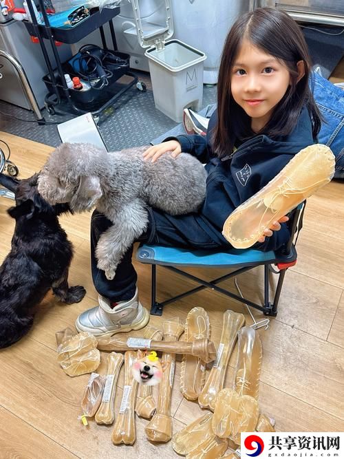  狗和人胶配方20分钟：完美结合的喂养秘籍