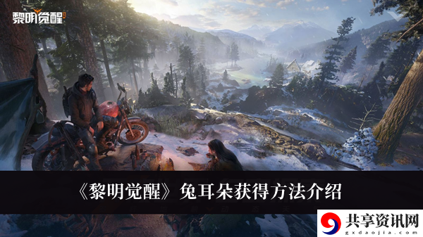 兔耳朵获得方法介绍 取得更好的效果