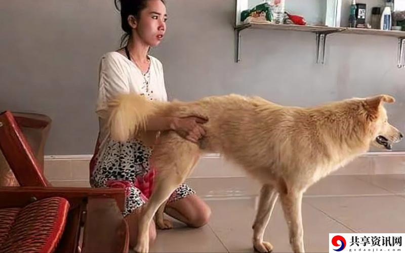 那些难以忘怀的“狗配人的大片”背后的动人故事
