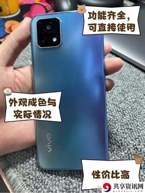  成色好Y31和Y31的区别，读者：选择理想的品质与性能