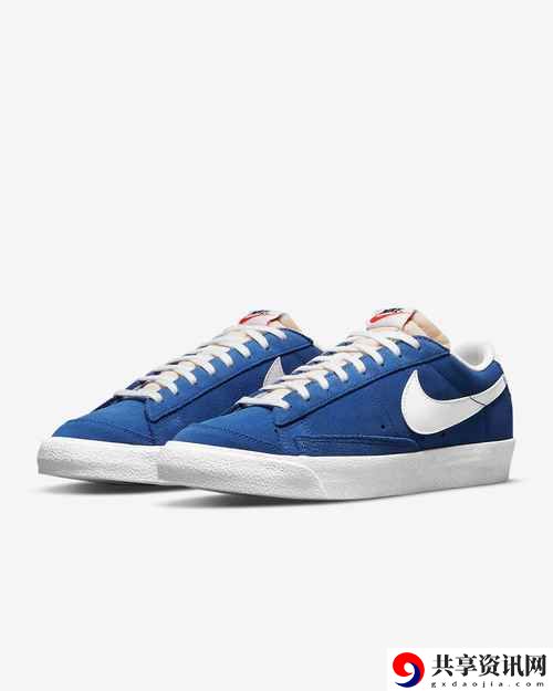 成品网站NIKE777，网友感叹：品质与快速并存，购物体验大幅提升