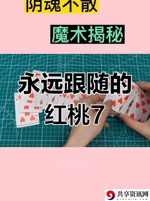 无人一区二区区别是什么红桃7揭秘，网友：这才是我想知道的！