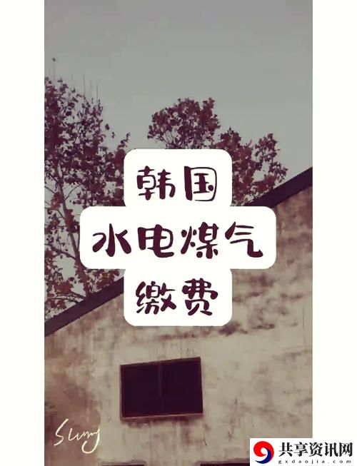 好看的韩国三色电费，平台：电费资讯网