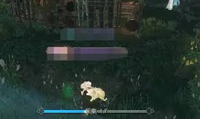 逆水寒手游幽谷寻茵奇遇任务怎么玩