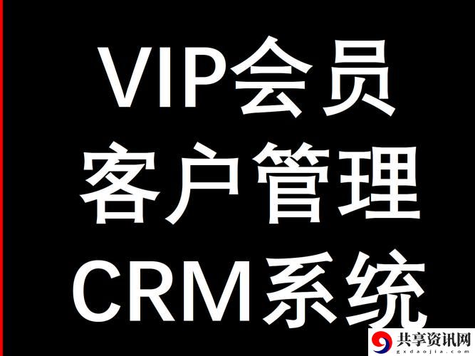 成免费CRM特色VIP，网友分享：提升客户关系管理，解锁商业潜力