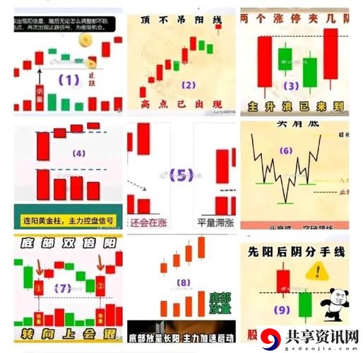  深入分析：华区二区区别88888金三角的多维世界