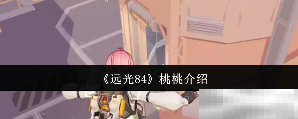 远光84桃桃介绍