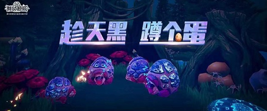 我的起源1598年宠物蛋在哪里-1598年宠物蛋分布图攻略