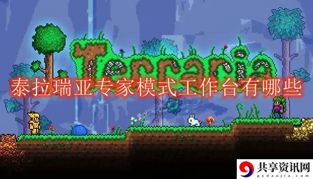 专家模式工作台有哪些 竞技对战与排名提升技巧