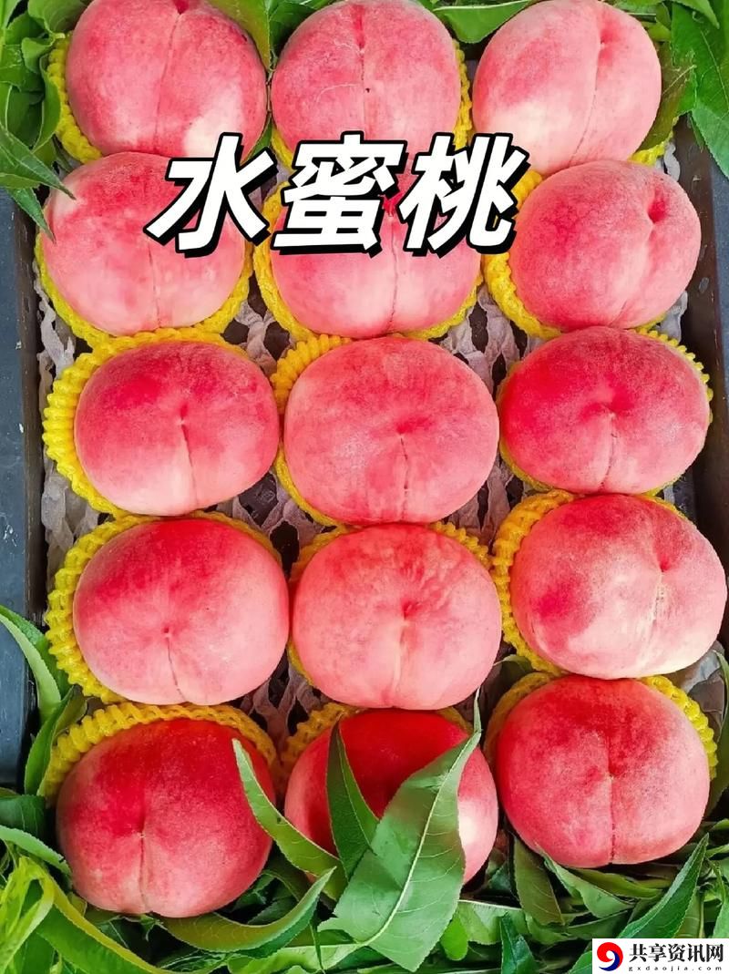 爽⋯好大⋯快⋯水蜜桃视频稳居榜首，网友：这才是我的快乐源泉！