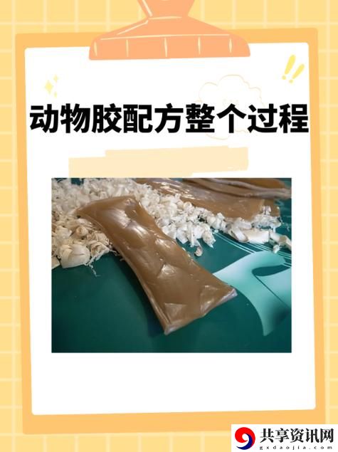  深入探索美国人与动物胶配方大全的背后故事