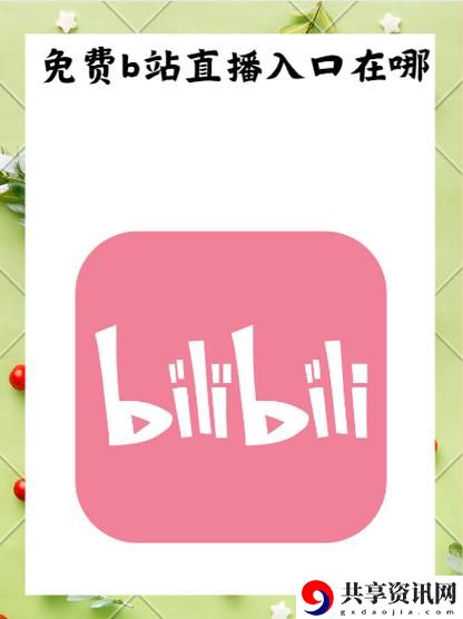 b站入口直接进入，网友评价：丰富多彩的次元世界，吸引无数年轻人