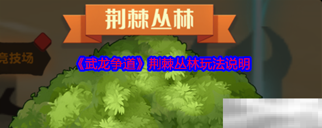 武龙争道荆棘丛林玩法说明