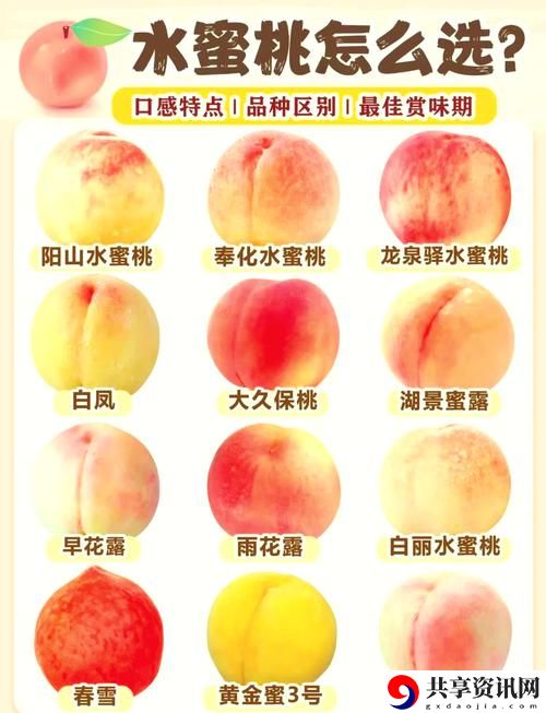 蜜桃精产品二三三区更新了，平台：全新体验，尽在掌握！