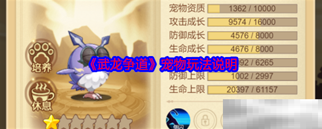 武龙争道宠物玩法说明