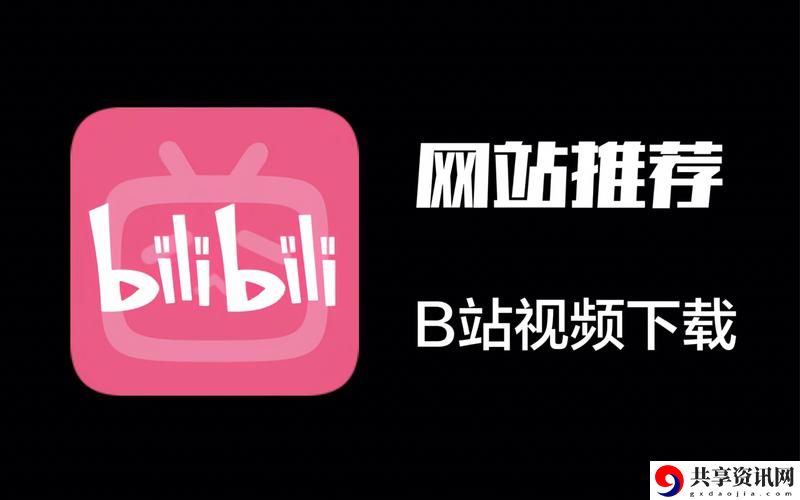  新探索b站2024年免费版入口的多样化内容