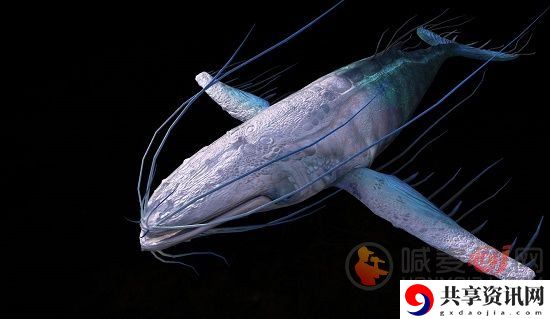 妄想山海万年鲲怎么进化 妄想山海万年鲲进化方法讲解