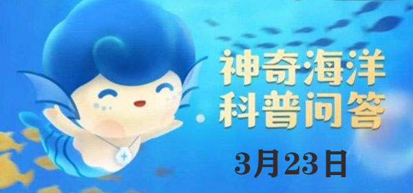 考考你：年幼的中华白海豚呈什么颜色：取得更好的效果