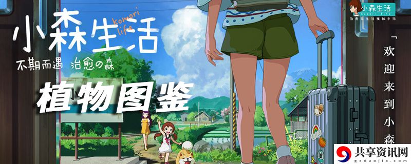 小森生活植物图鉴大全：剧情深度解析与角色关系梳理