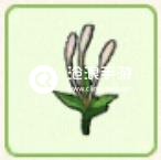 小森生活忍冬花位置介绍：在游戏中保持耐心和细心