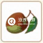 小森生活枣子位置介绍：高效副本完成指南
