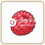 小森生活红莓位置介绍：地图成就快速解锁方法