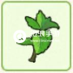 小森生活薄荷叶位置介绍：装备系统全方位解析与攻略