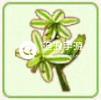 小森生活止风草位置介绍：难点突破全方案详解
