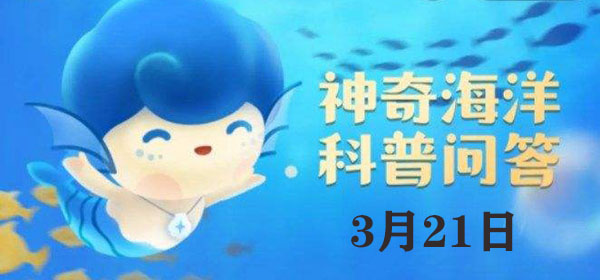 考考你：海洋鱼类中最为原始的一类是：高效提升角色能力