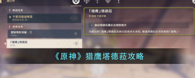 猎鹰塔德菈攻略 更好地融入游戏世界