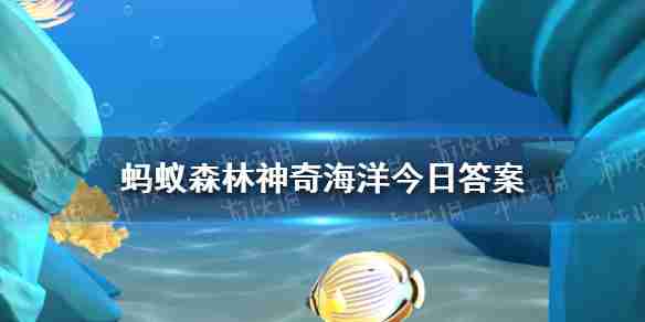 世界上最深的海峡是哪一个 神奇海洋3月28日答案最新