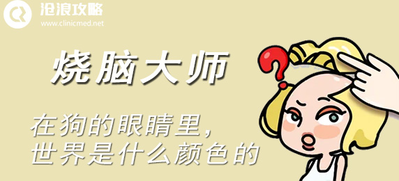 烧脑大师：在狗的眼睛里，世界是什么颜色的：副本速刷路线指引