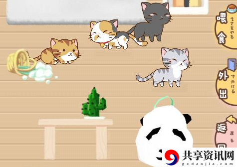 猫宅97猫咪好感度怎么提升-好感度攻略大全