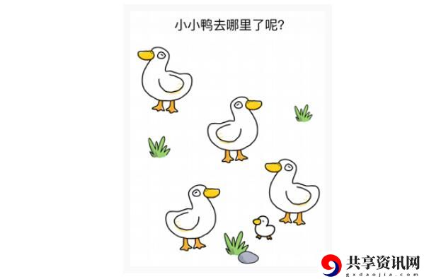 烧脑大师：小小鸭去哪了