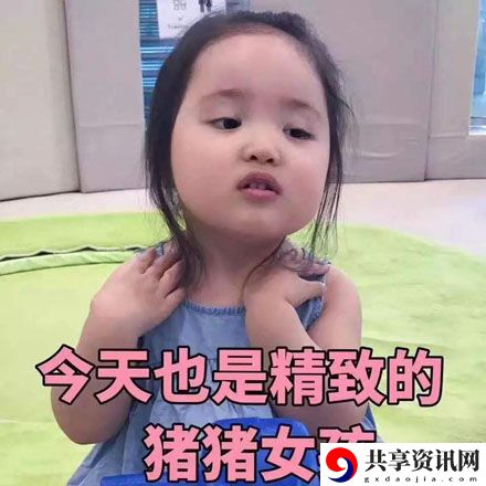 精致意思含义出处介绍：攻略助你技能升级