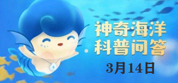 考考你：哪一种海鸟俗称“呆鸥”：战斗中的即时通讯与团队协作
