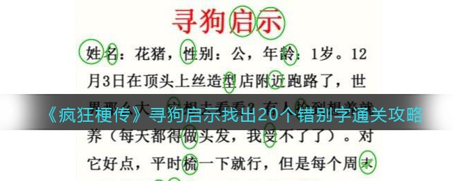 寻狗启示​找出20个错别字​通关攻略 装备系统全解析攻略