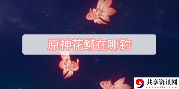花鳉在哪钓 日常任务的高效完成方法