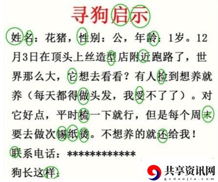 寻狗启示​找出20个错别字​通关攻略 装备系统全解析攻略